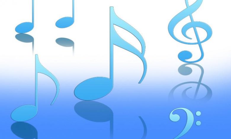 شف عذر كلمات أصالة